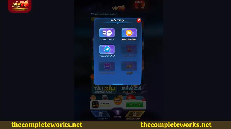 Liên hệ CSKH khi có vấn đề về đăng ký tại Vip79 Lưu ý quan trọng khi đăng ký Vip79